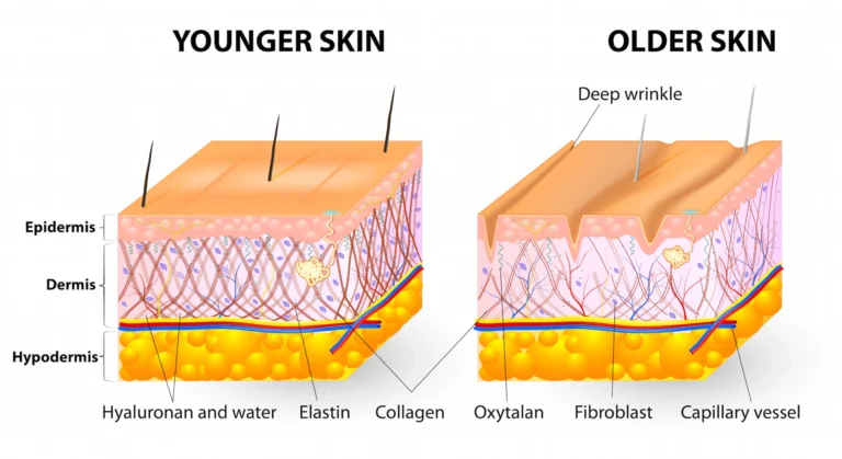 Does MK-677 Improve Skin Quality? Collagen, Hydration, and Research Findings